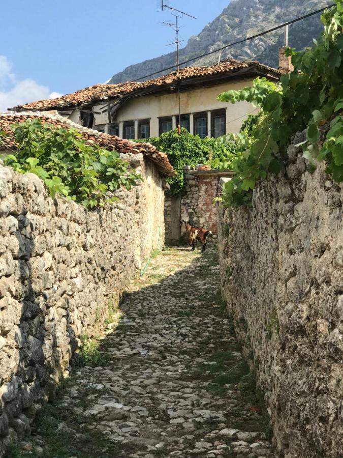 Kaloshi Villa Krujë Exteriör bild